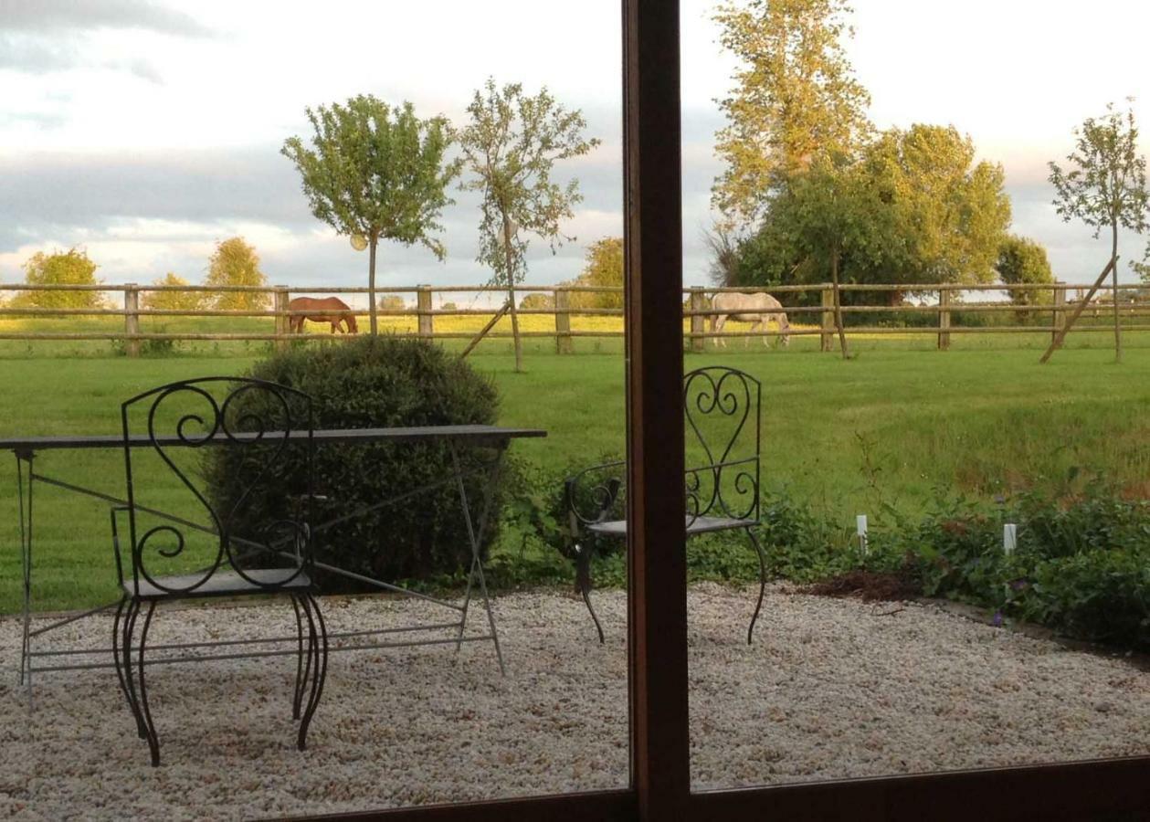 Haras Des Leudets Bed and Breakfast Blangy-le-Château Exterior foto